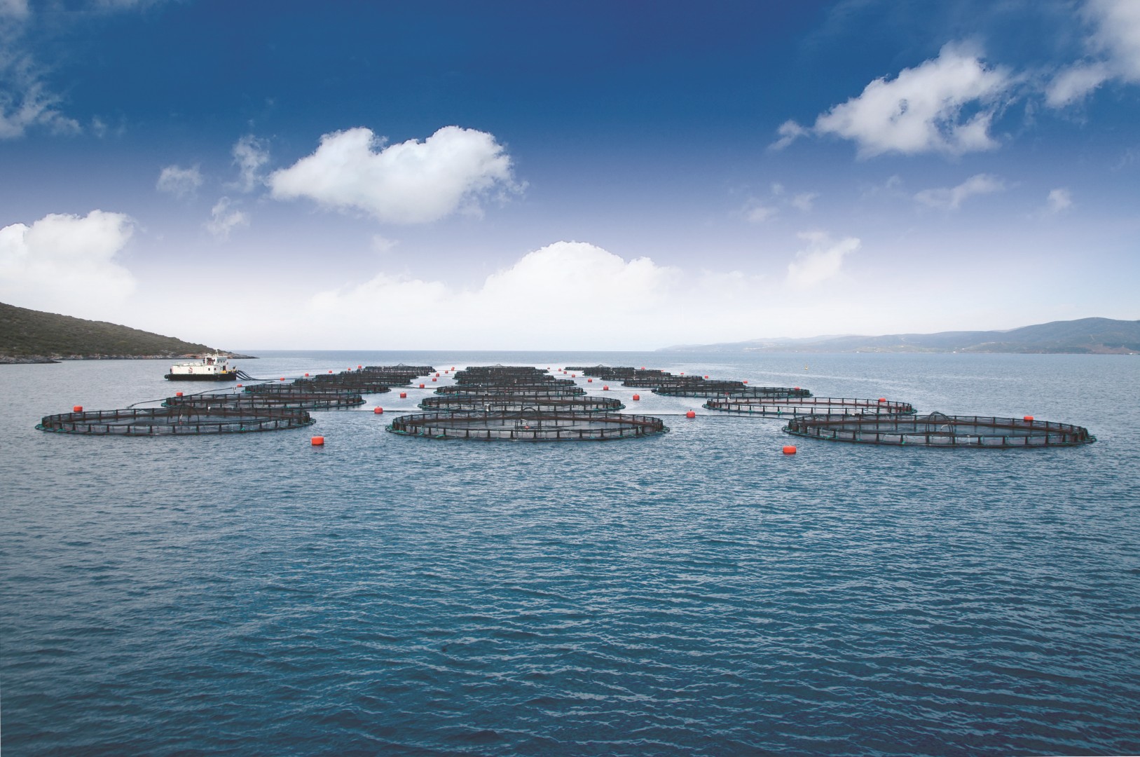 3Q6Q7495 (Large)